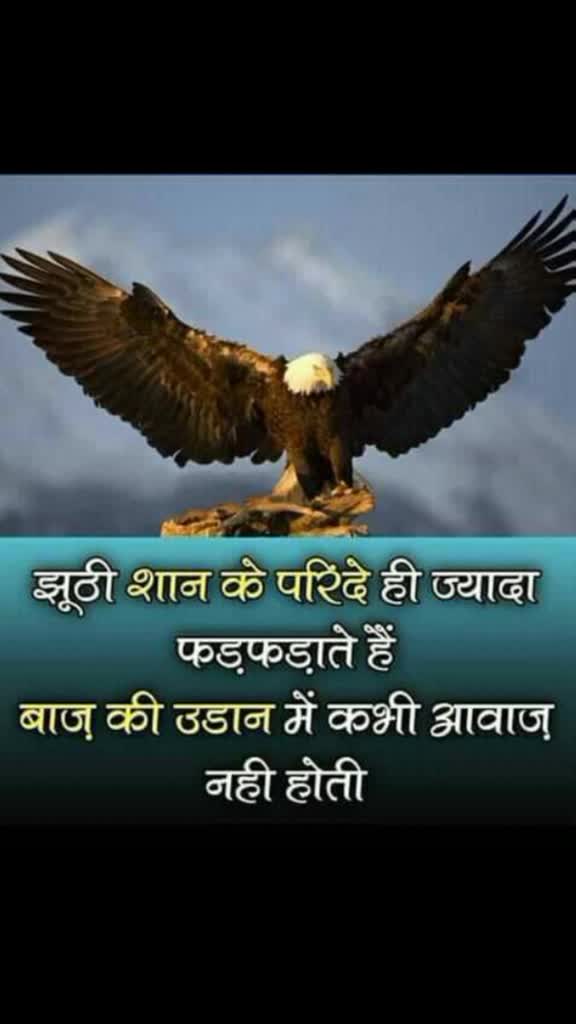 @Rinku Khalsa