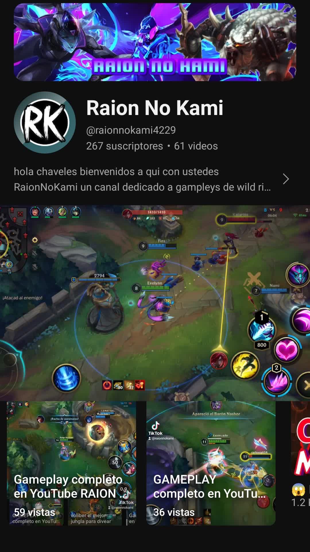 @RaionNoKami