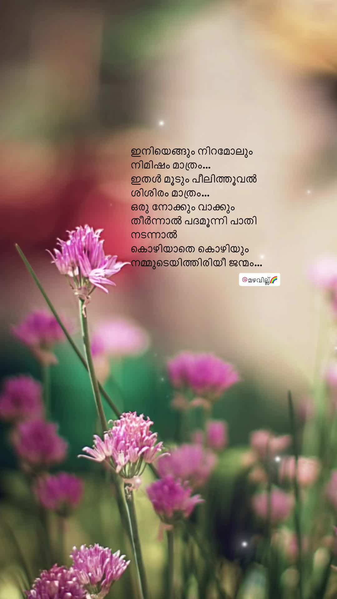 @മഴവില്ല്🌈