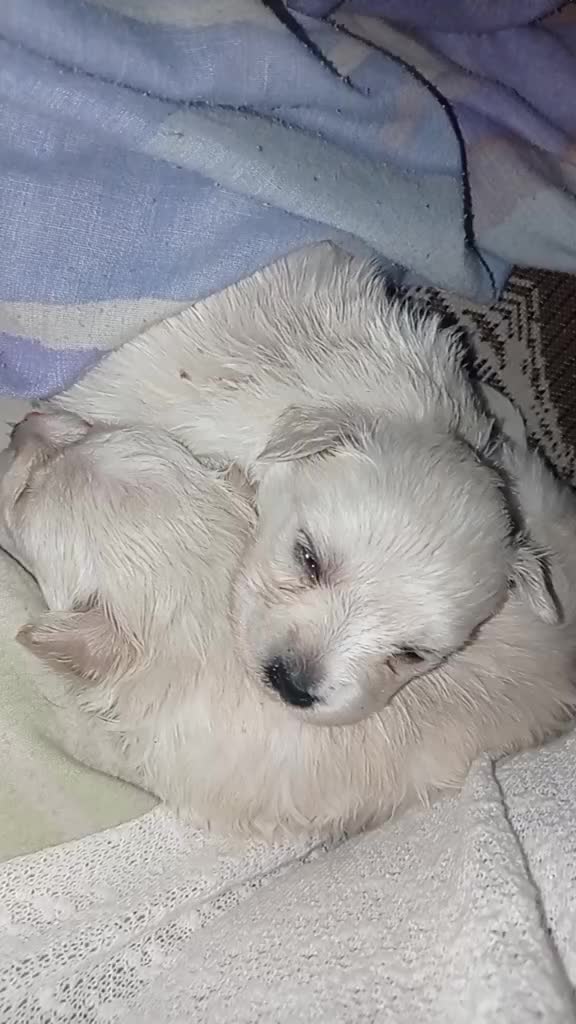 @Elvi🥰