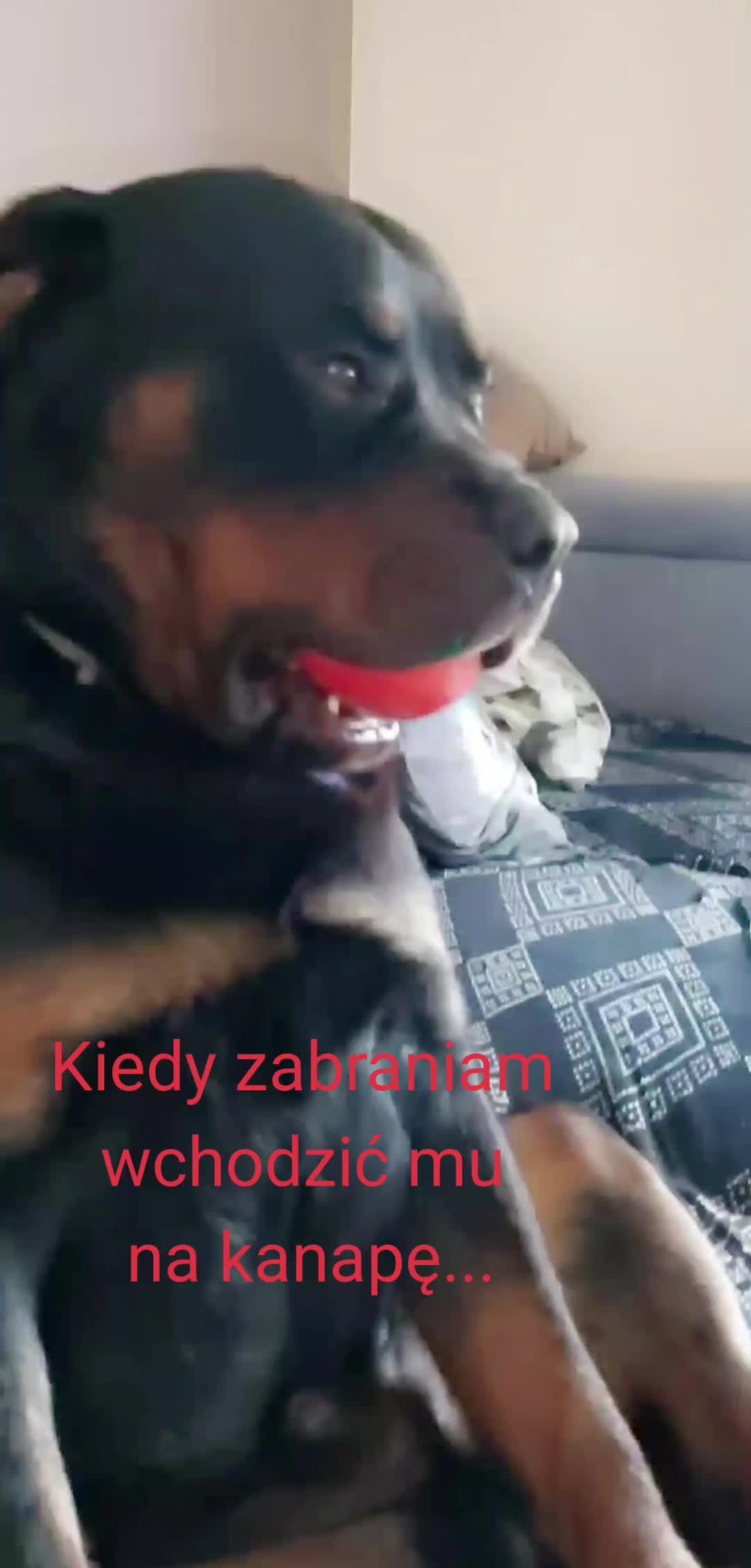 @eelkaa1988wp.pl