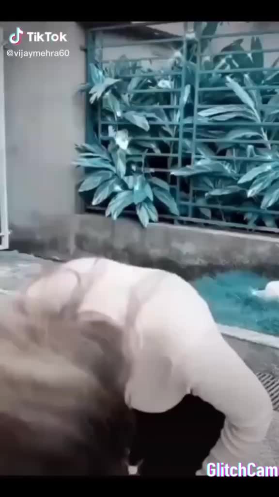 @AjayNegi585