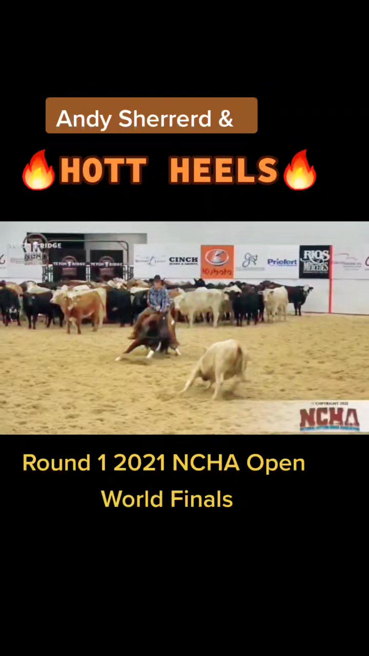 @cuttinghorsess