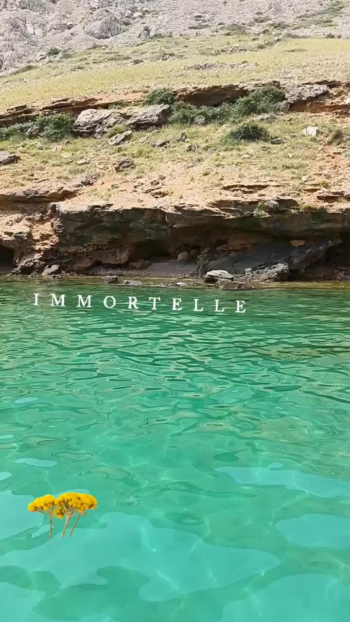 @BalmOlie