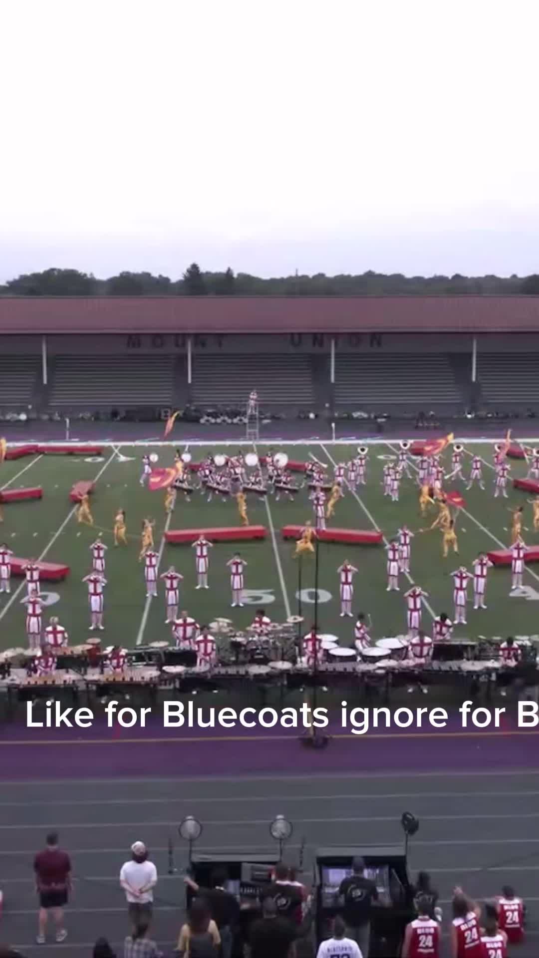 @The Marching Tapir