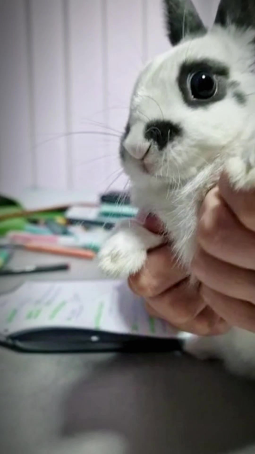 @๐ฐ๐
๐บ๐
/๐๐๐
บ๐
ธ