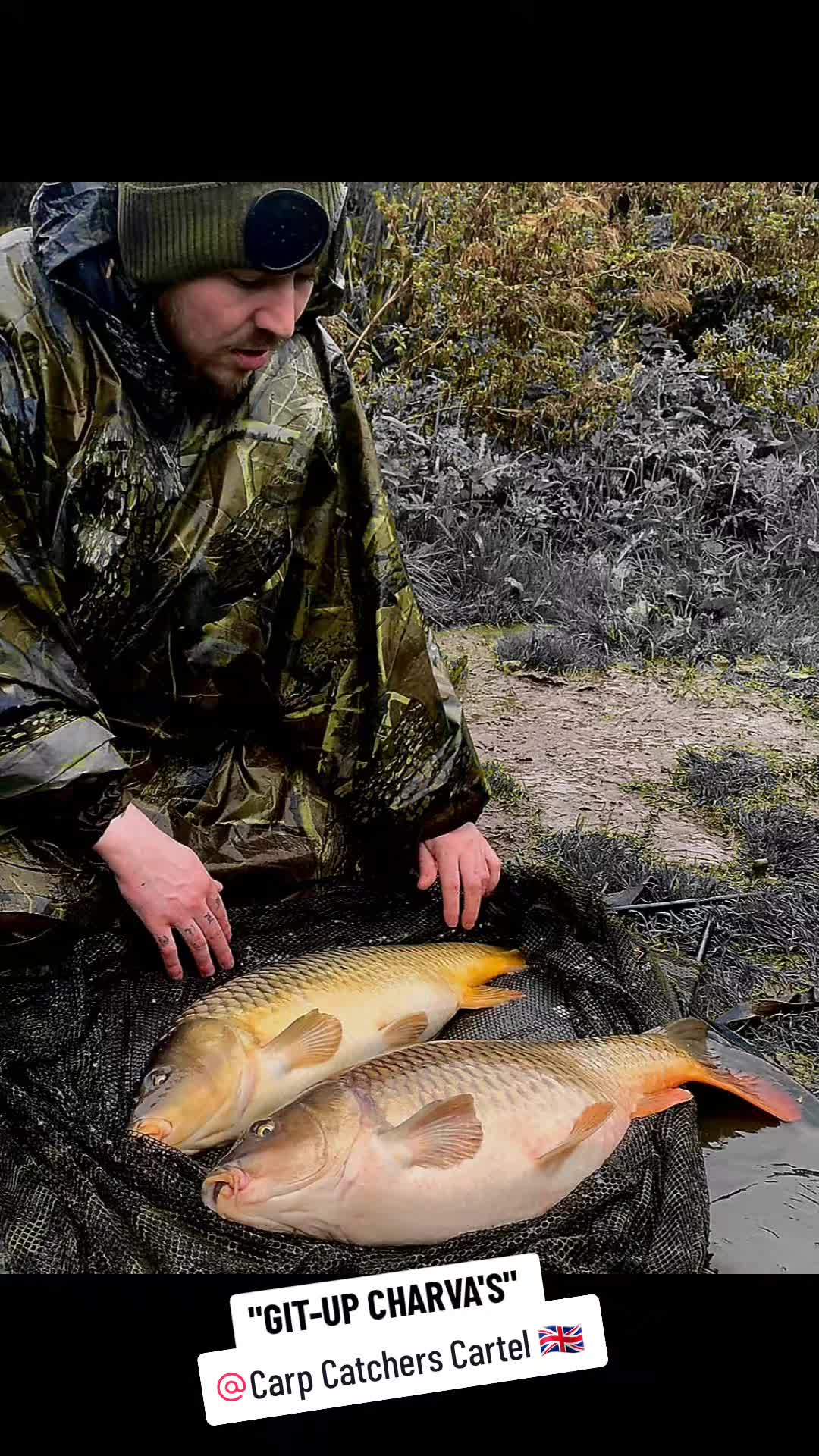 @Carp Catcher johno ๐ฌ๐งโ๐