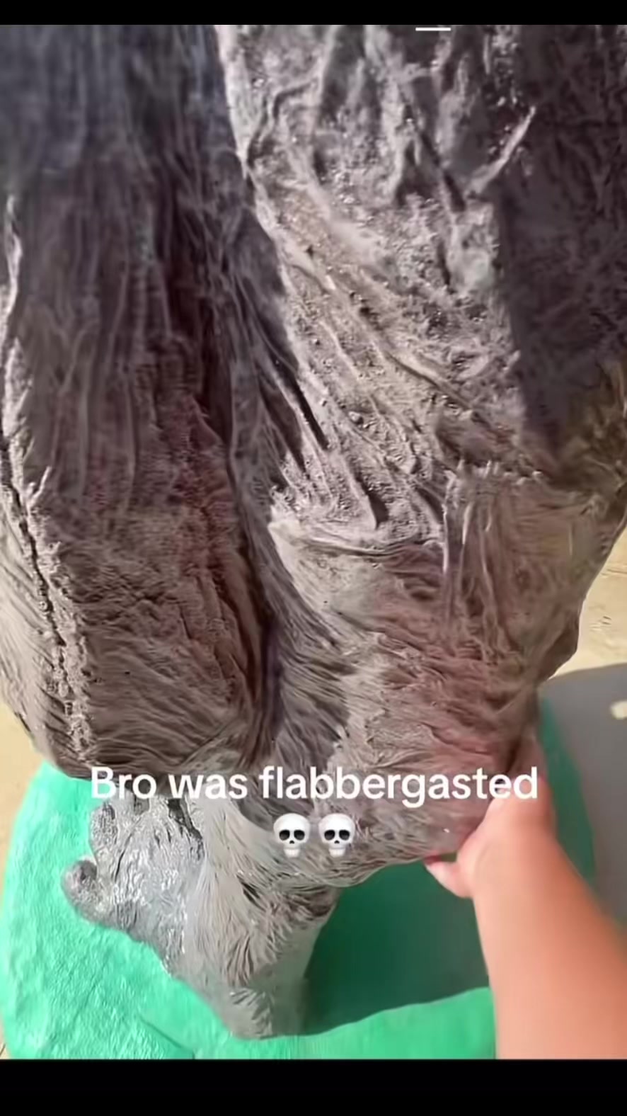 @Random_Funnyshit