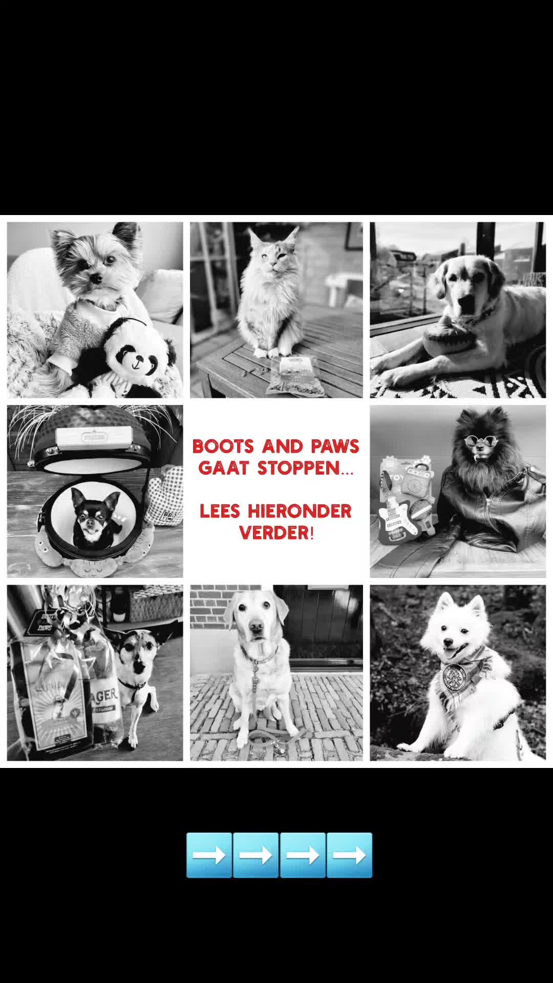 @BootsandPawsShop