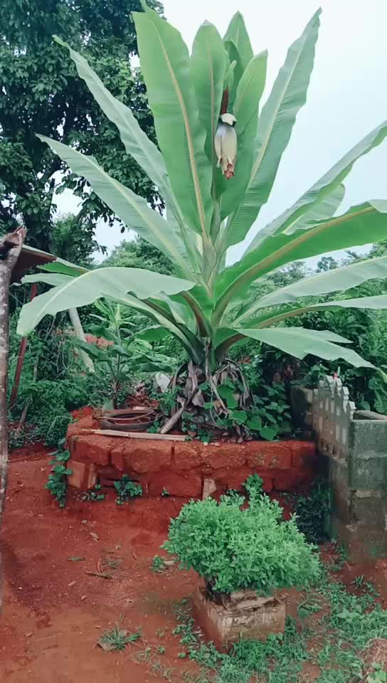@Varshini Varshu