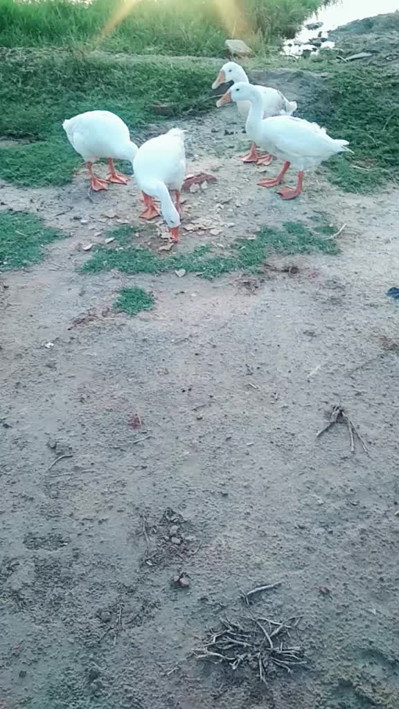 @Deepak madad Bairagi