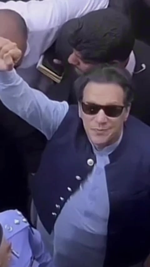 @Cornered Tigers