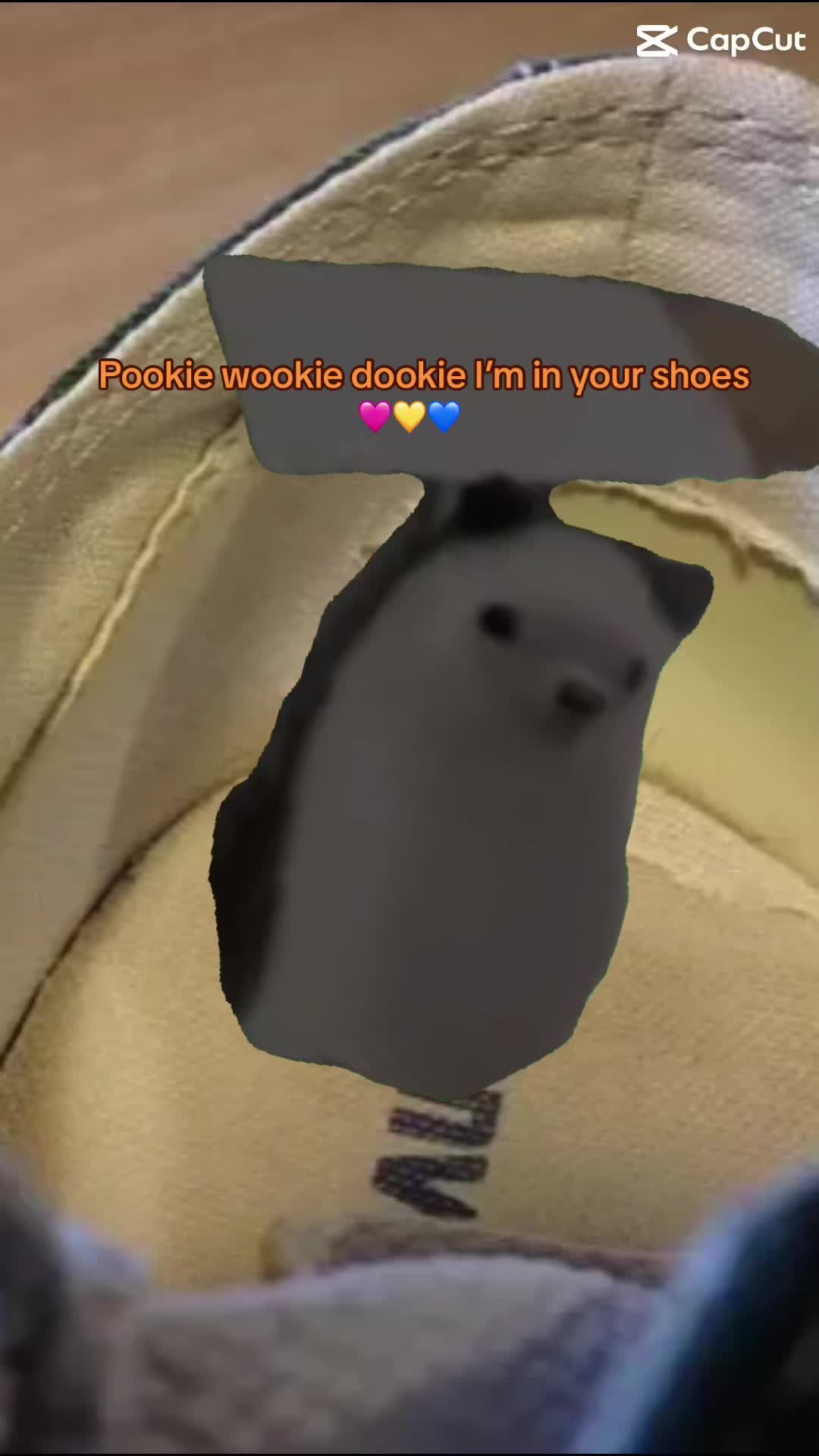 @a_random_account_._._