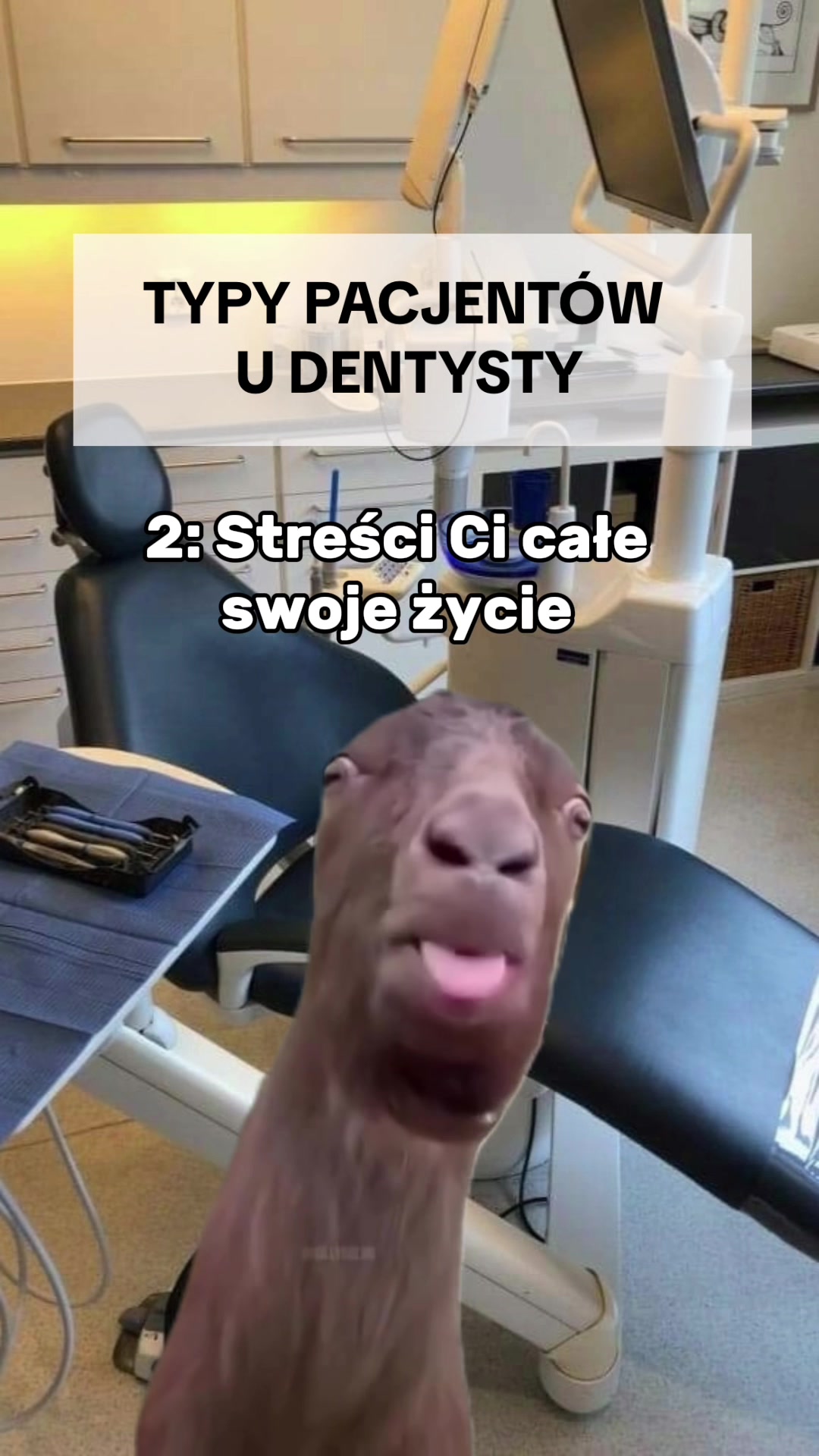@Miss Stomatology