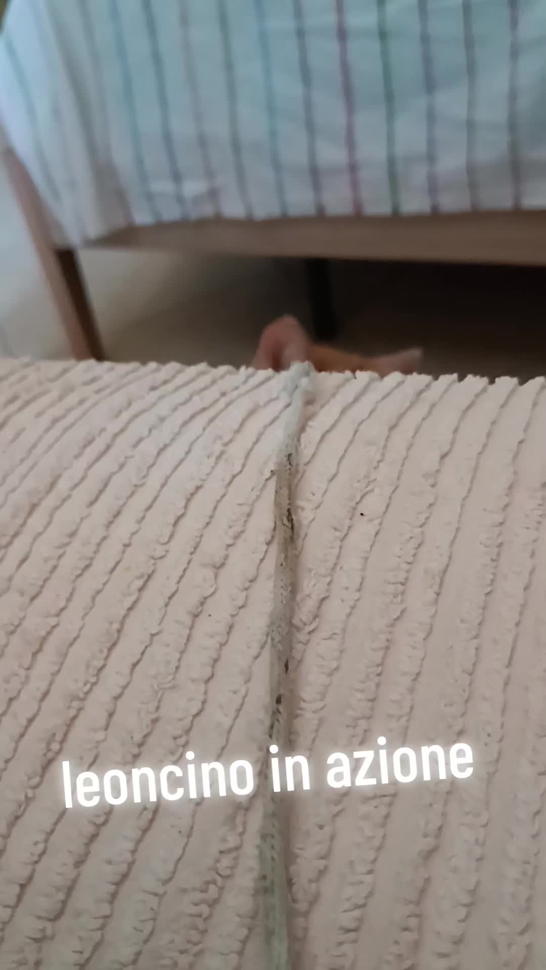 @marco ceci