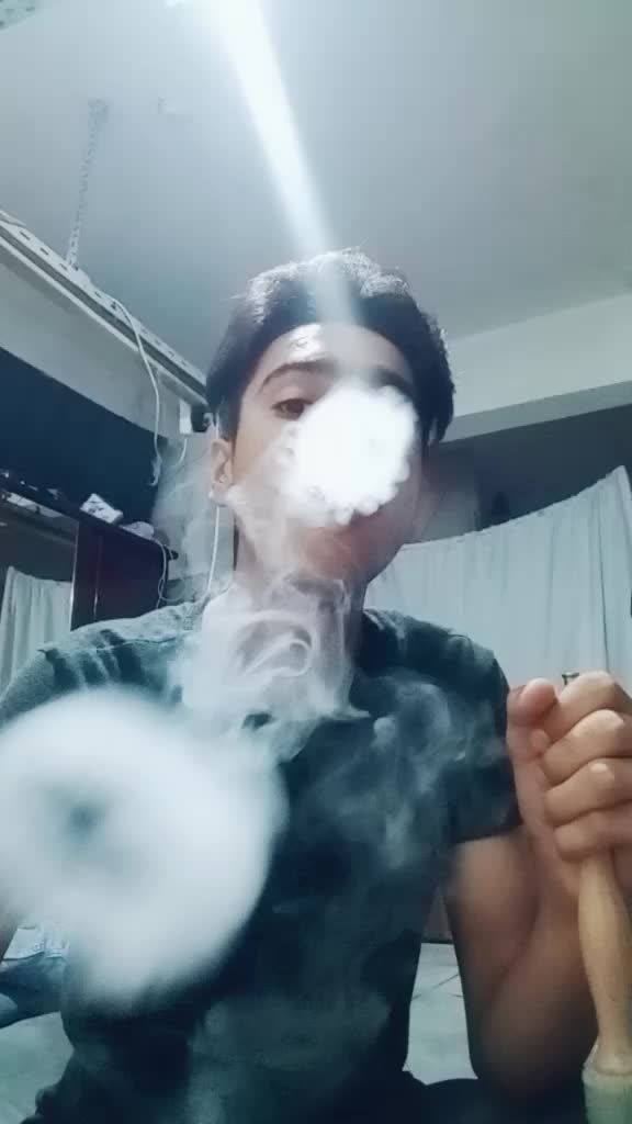@gulfamdogar265