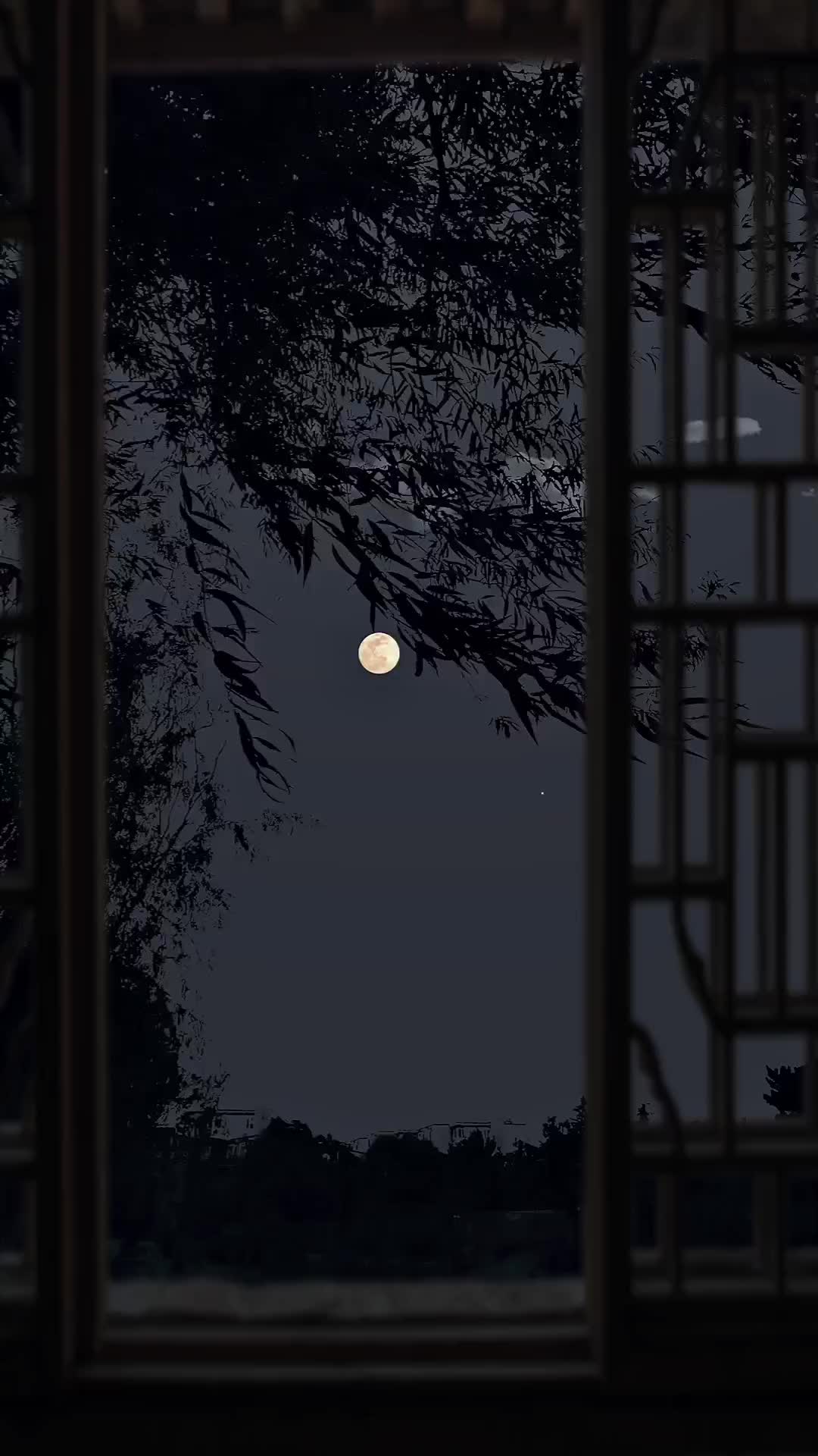 @Nature+Lofi