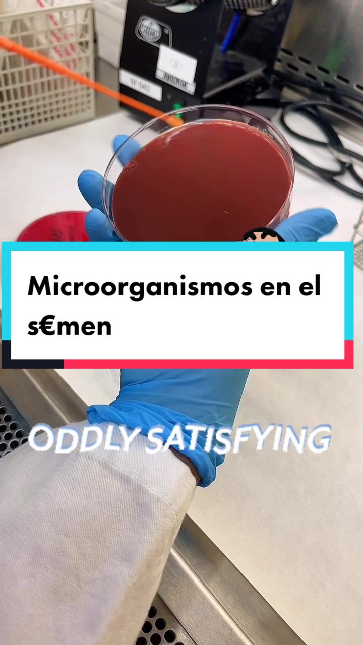 @micropis