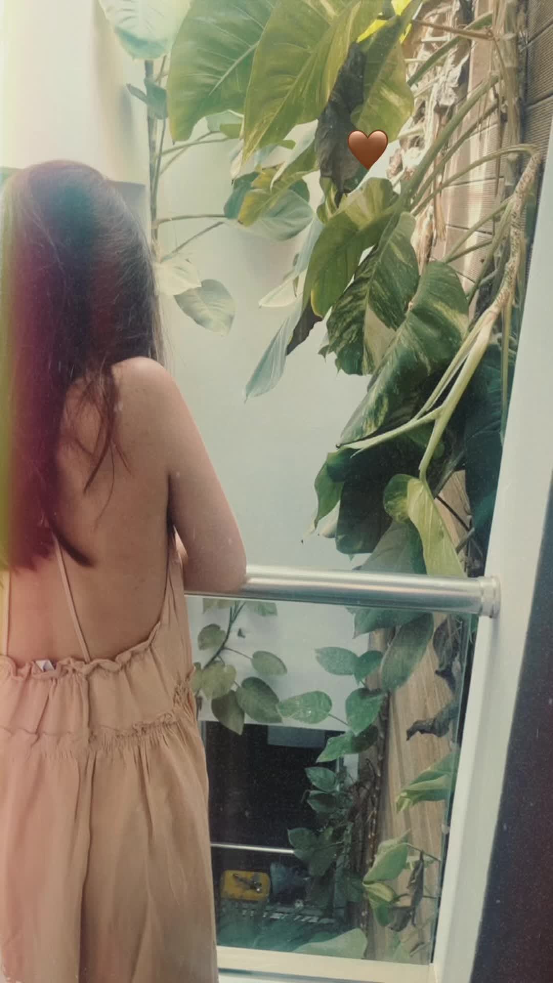 @Fleur de lys 🌸