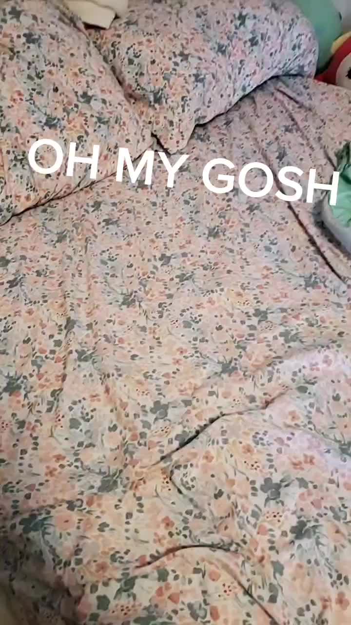 @🌹