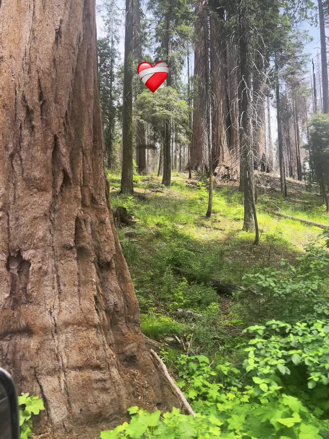 @lachula1605