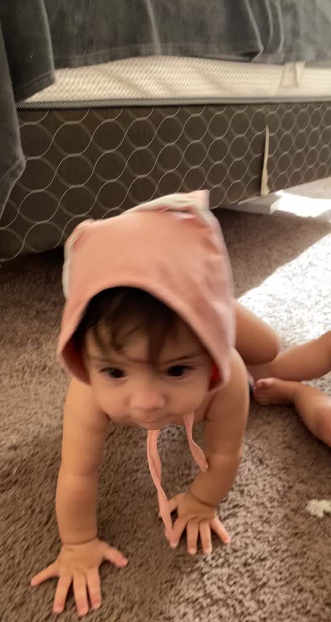 @evelyntellez506