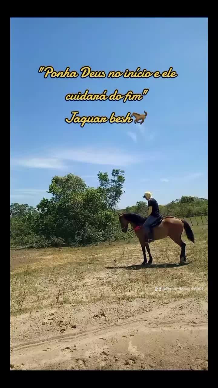 @Fernando Evaristo