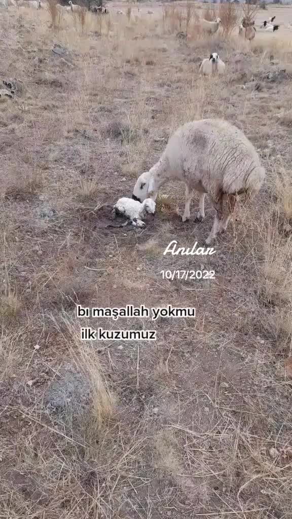 @KAYIP ŞEHİR68