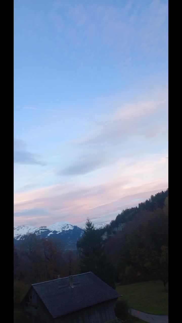 @timo moor