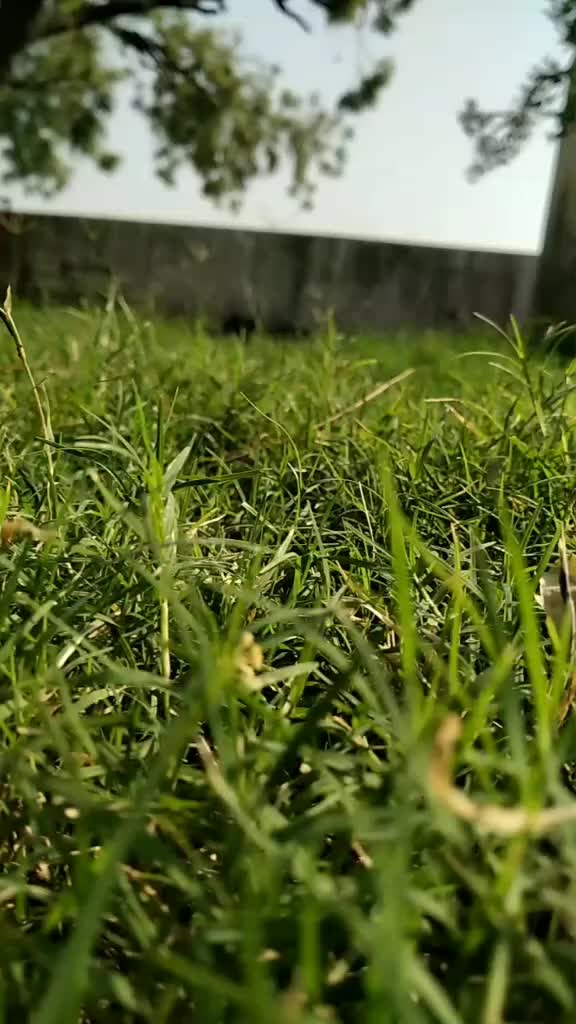 @•●◉✿αנ вα∂sнαн◦•●◉✿