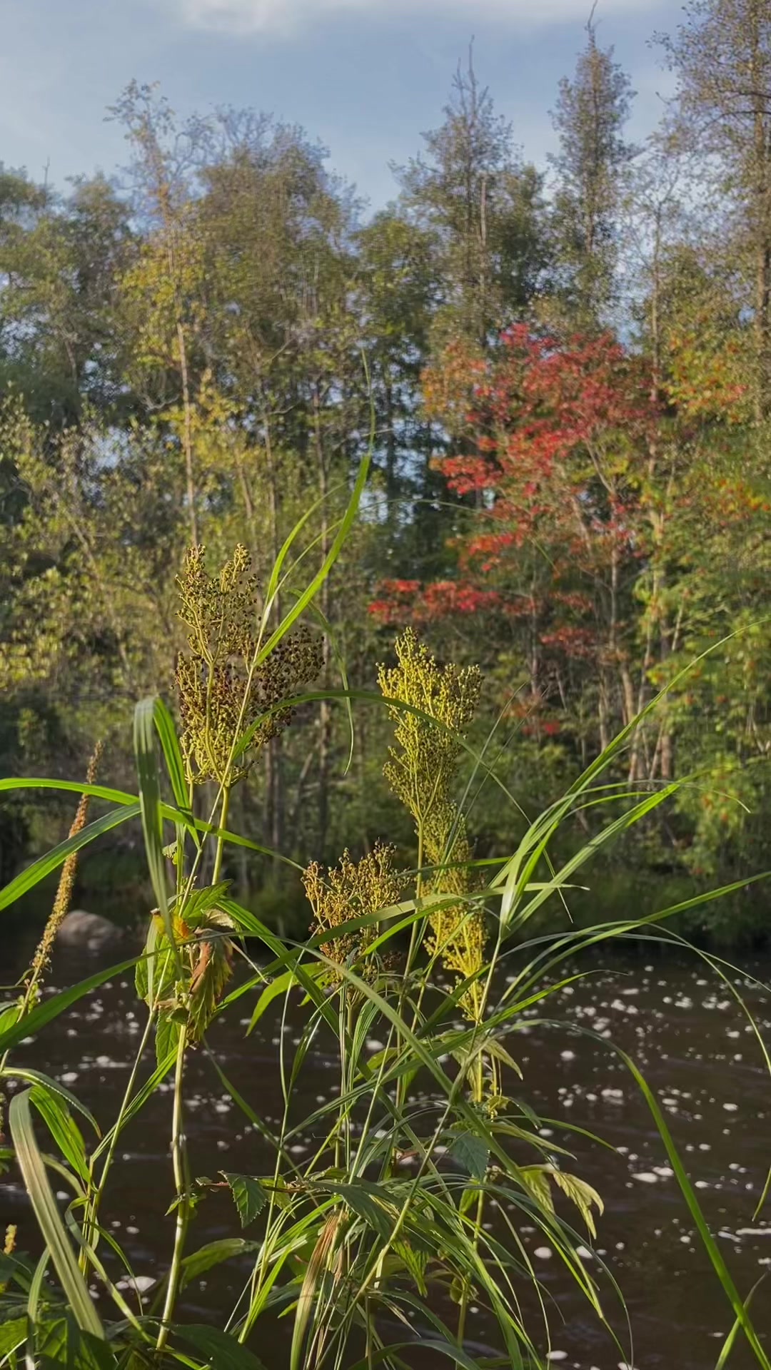 @mirre