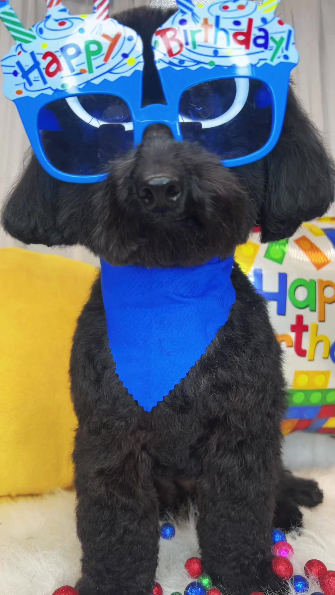@Bonnies Grooming Llc