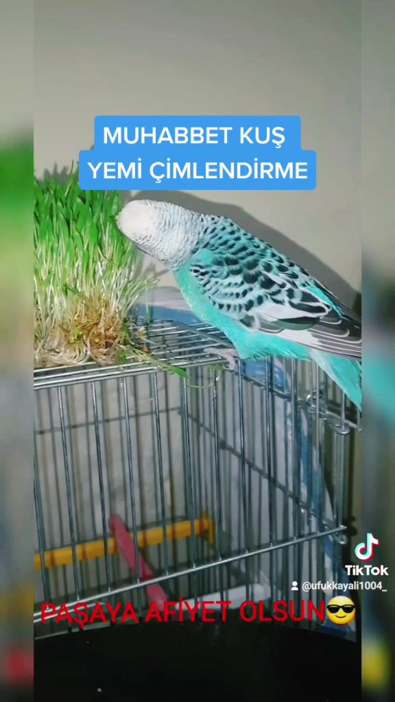 @ufuk