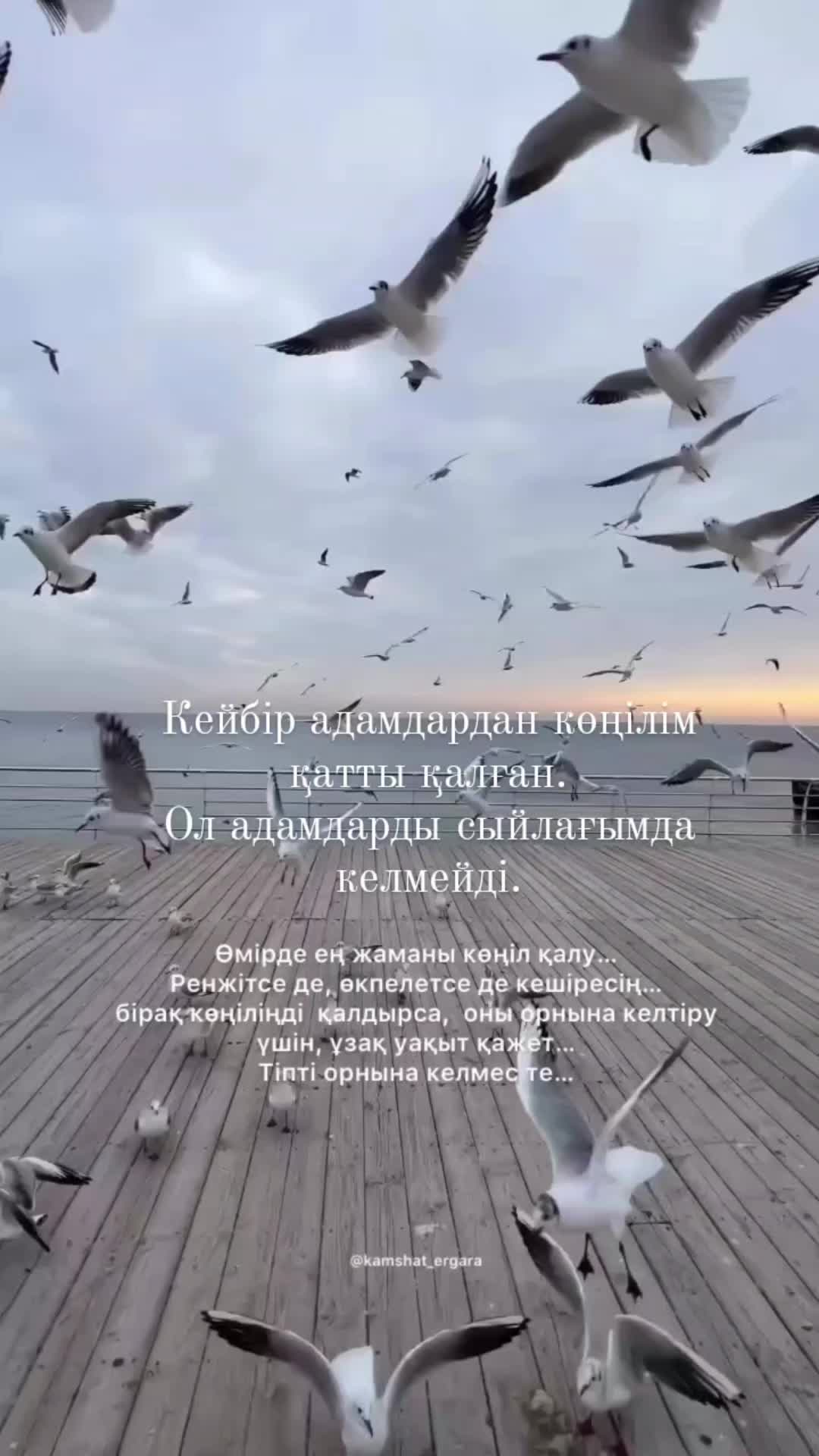 @syrlybayeva_u