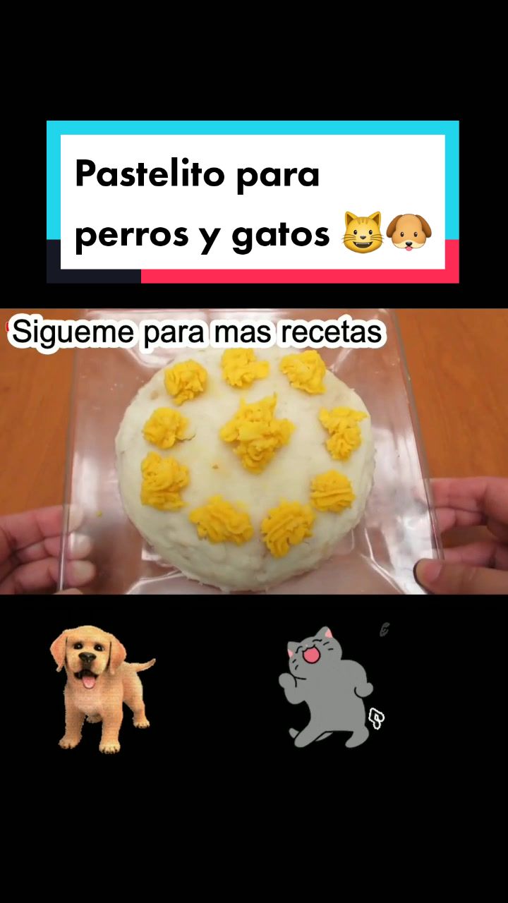 @delimascotas