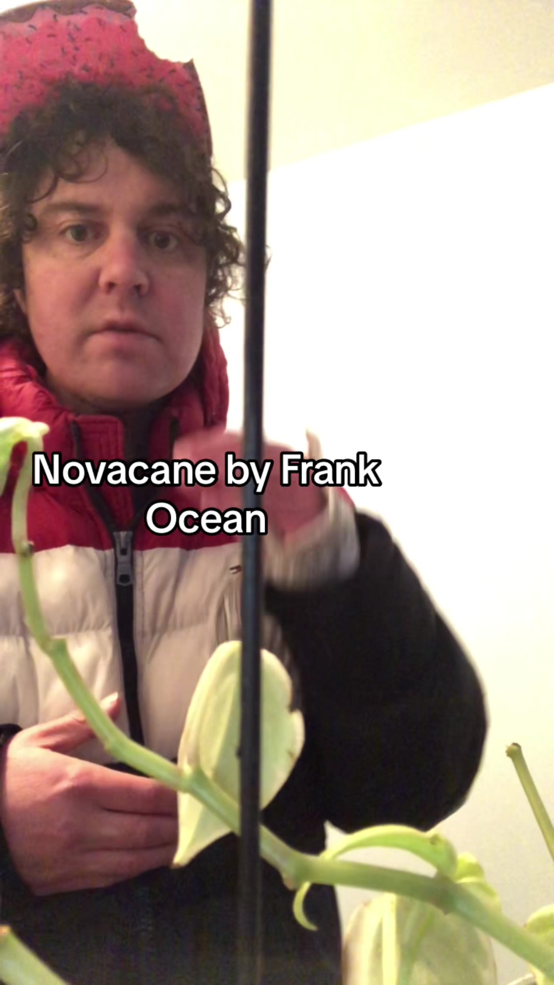 @Foolish Triangle