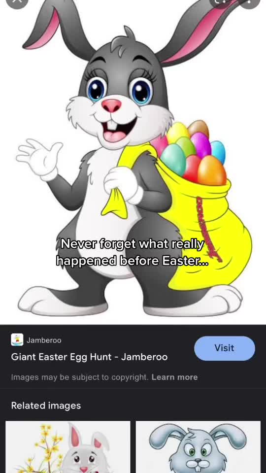 @user55979509453