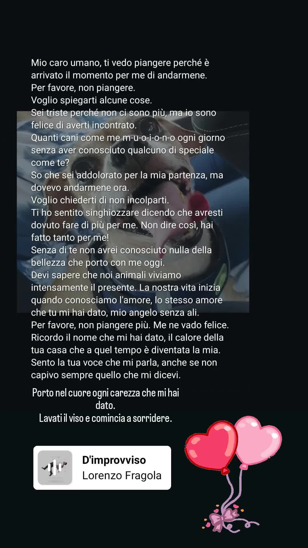 @Noez