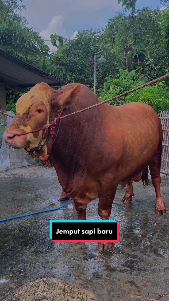 @Setia Farm