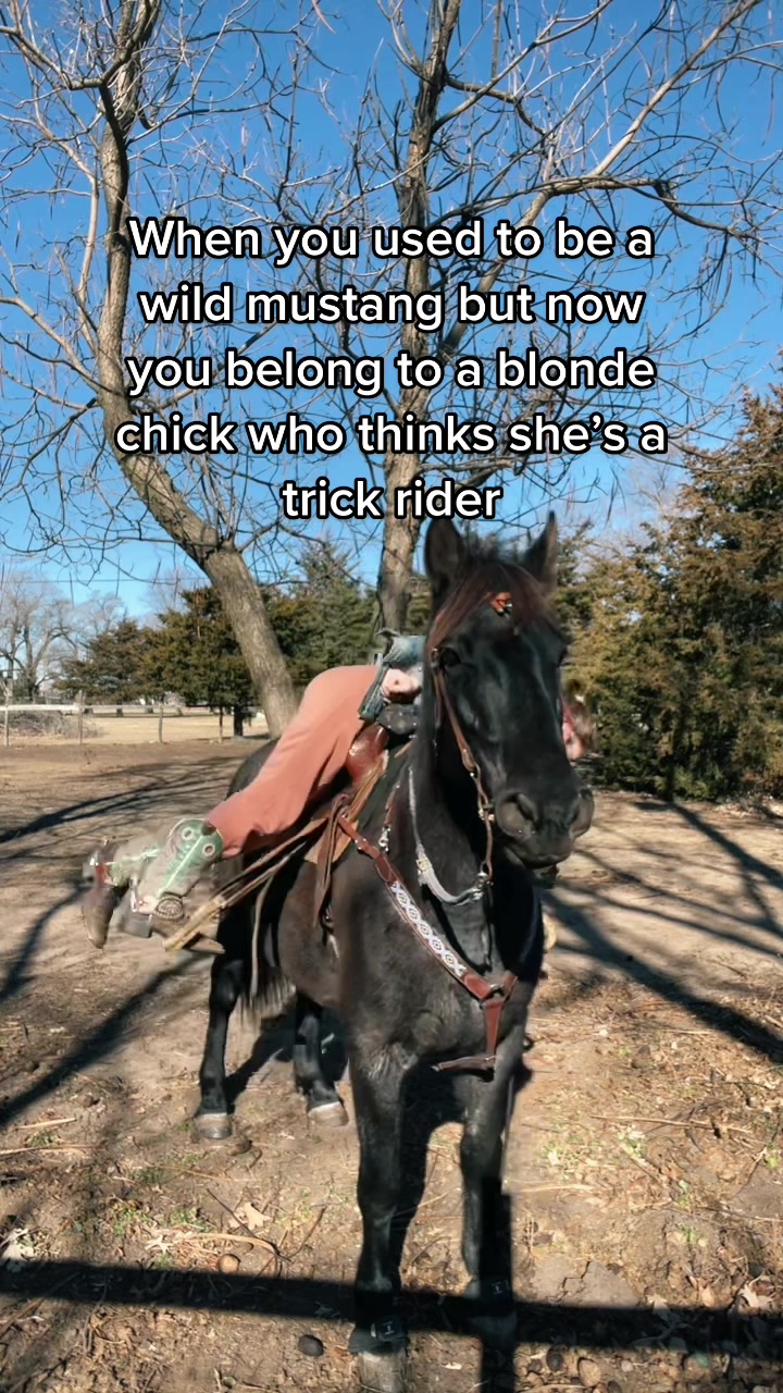 @Ellie Vickers
