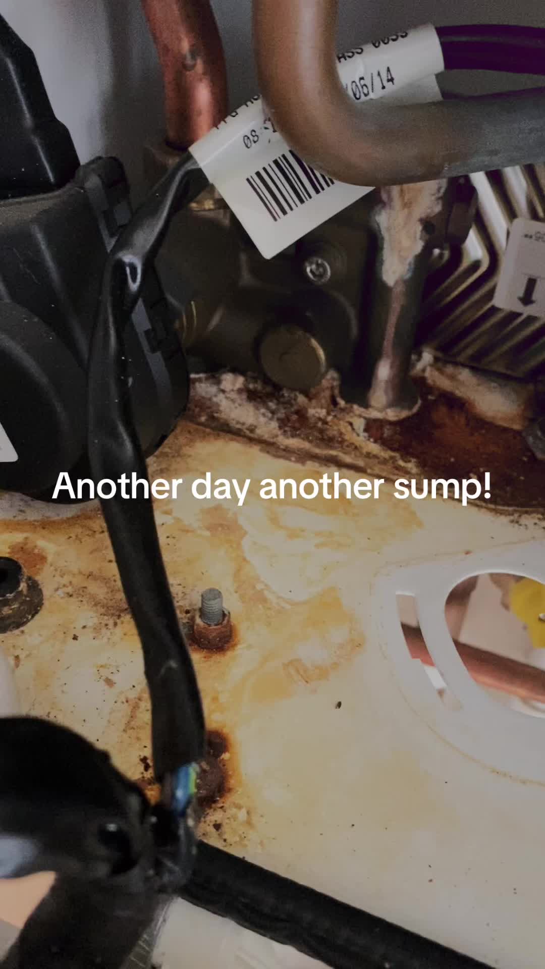 @The Boiler man