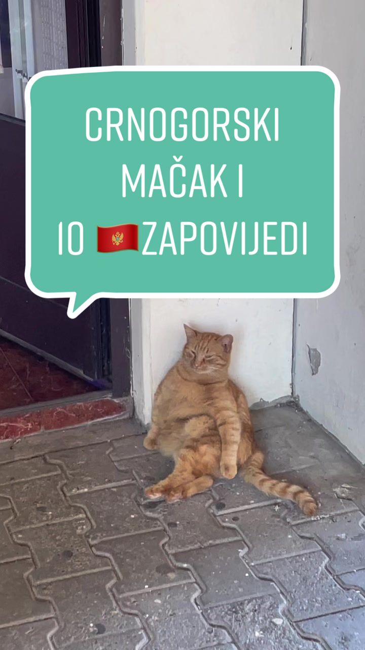 @Maja Kovijanic