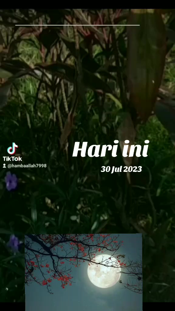 @Hamba Allah 7998
