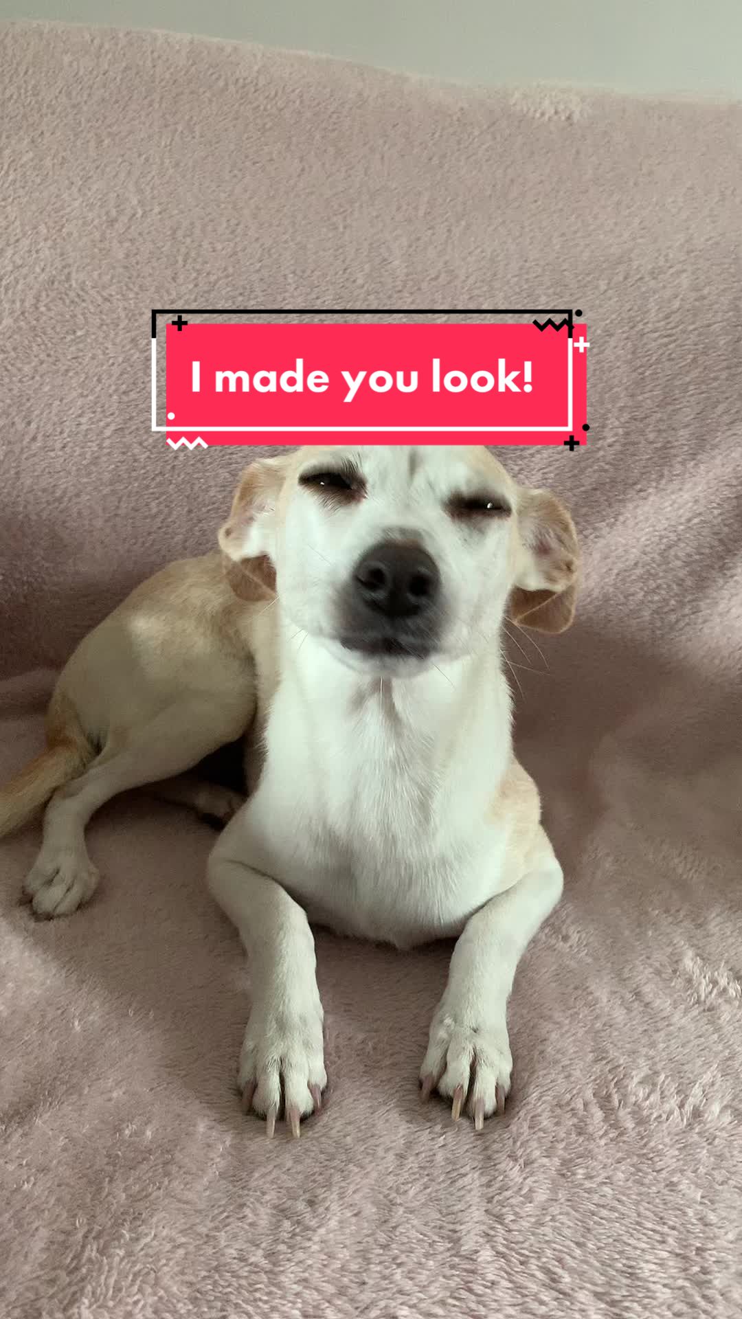 @Nala