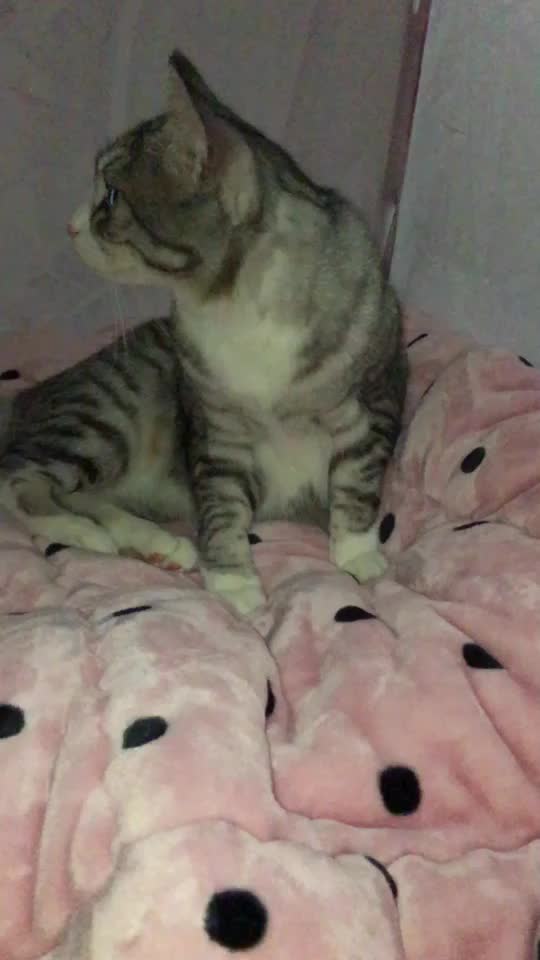 @누