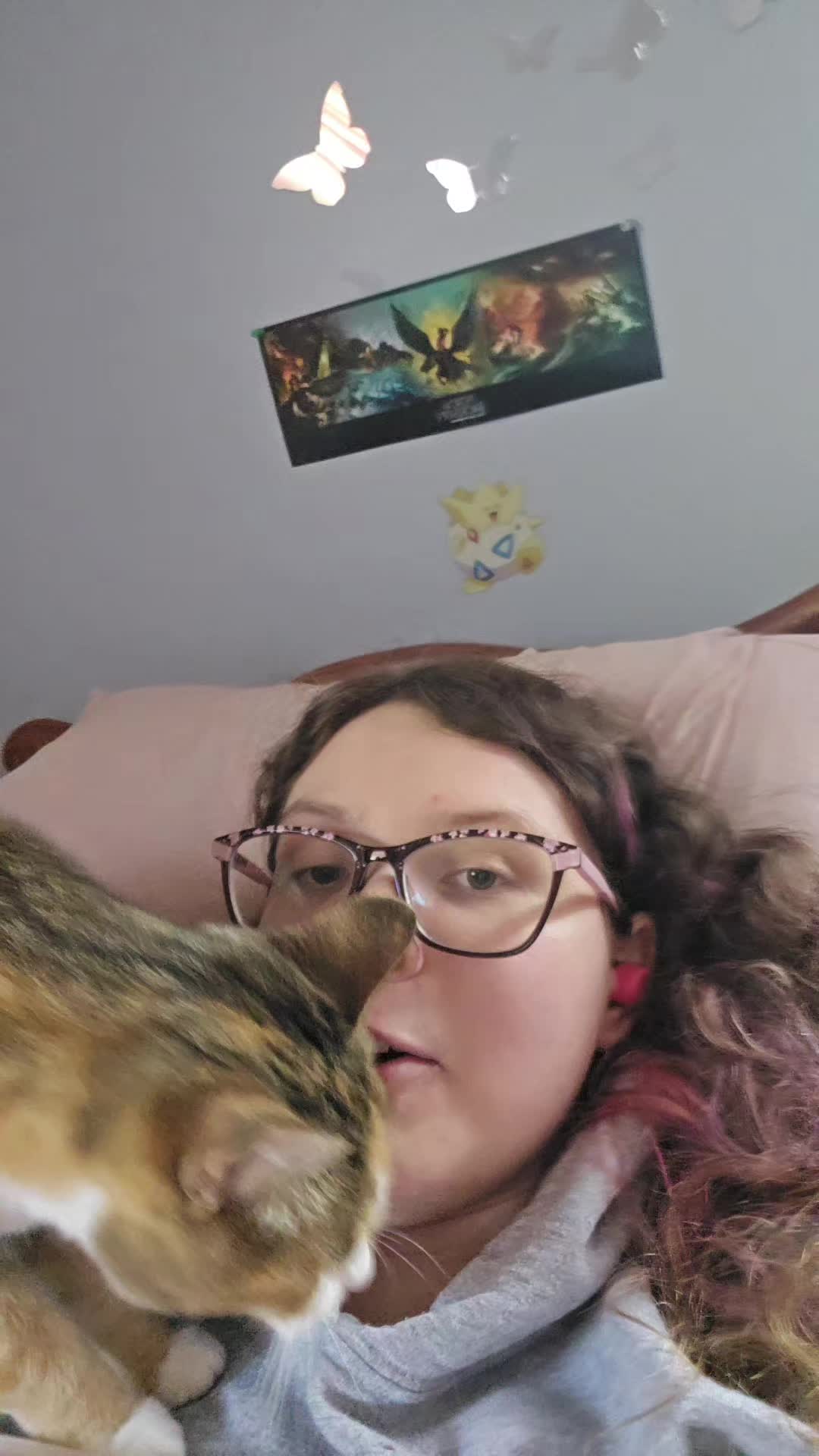 @catperson