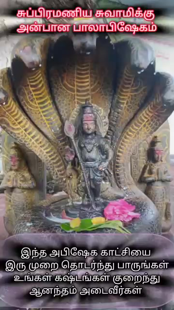 @๐โโโ ั ั N๐๏ธqυััη๐ฑ๐ฟ๐๏ธโโโโ
