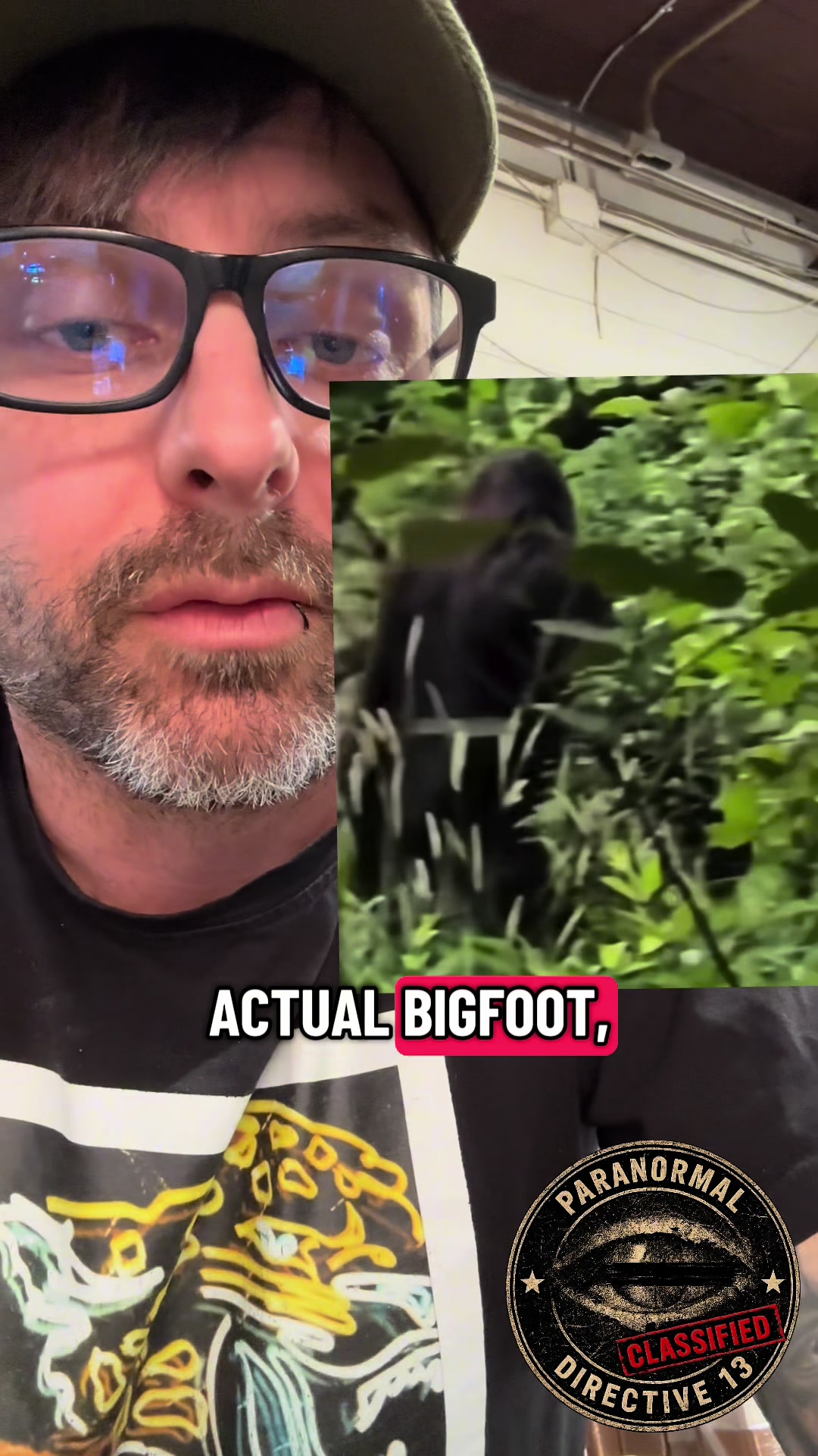 @paranormaldirective13