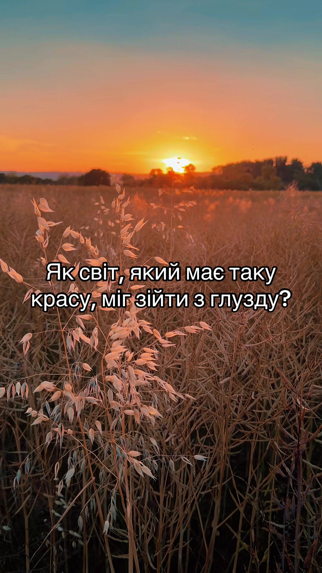 @Vanilla