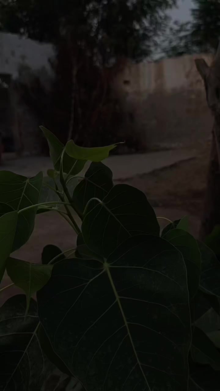 @𝑬 𝑴 𝑨 𝑵 ♥️